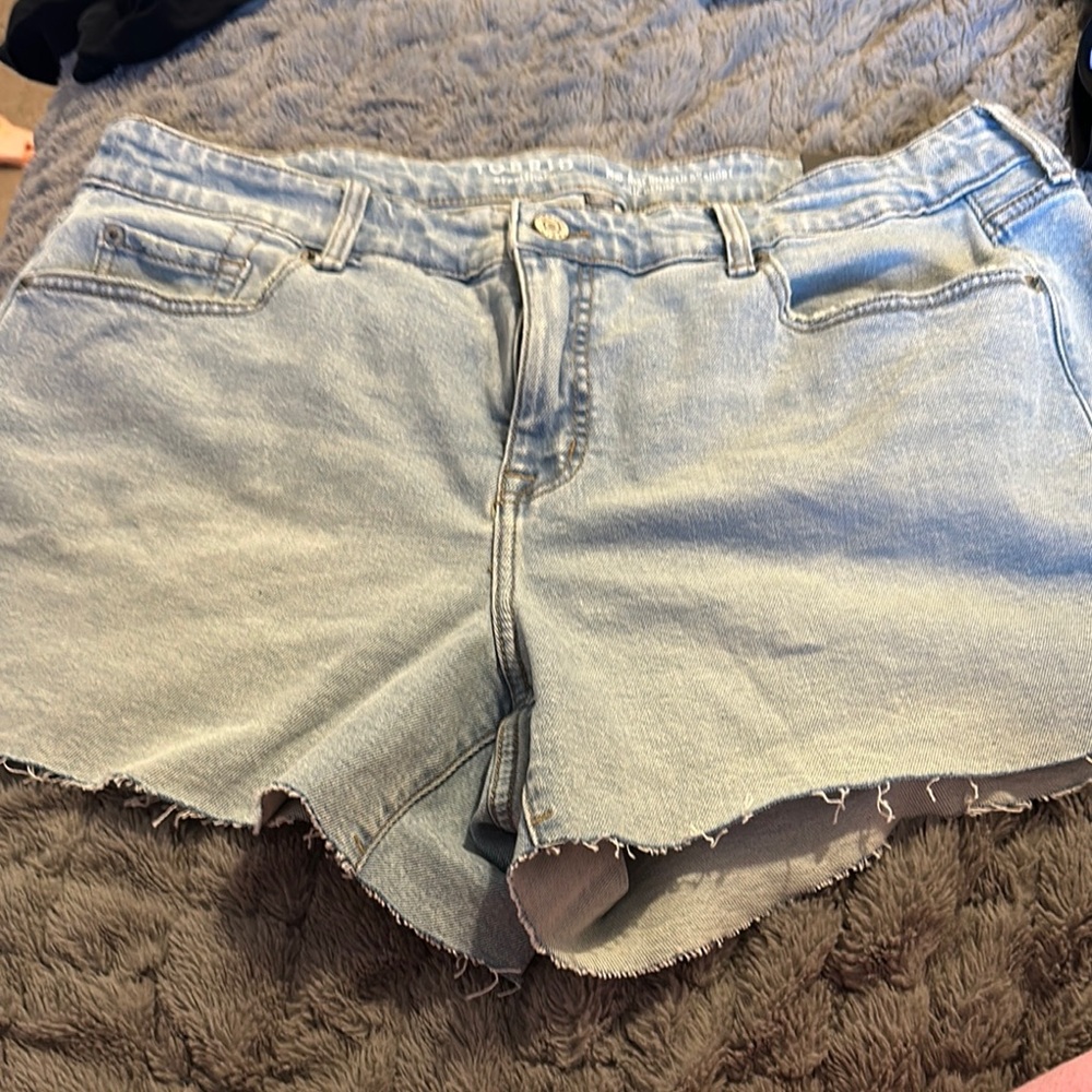 New Torrid Light Wash Denim shorts
